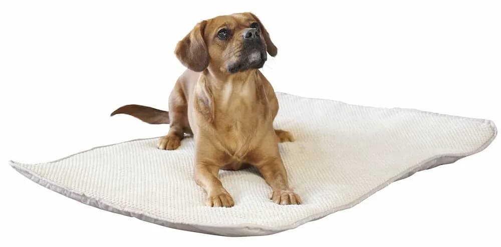 Hundfilt med Handtag 90x65 cm Beige